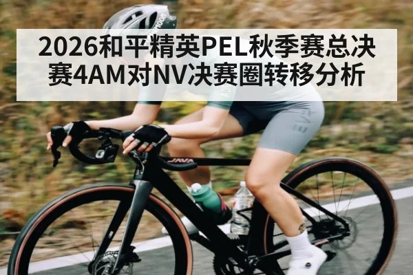 2026和平精英PEL秋季赛总决赛4AM对NV决赛圈转移分析